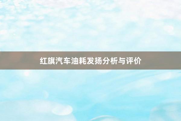 红旗汽车油耗发扬分析与评价